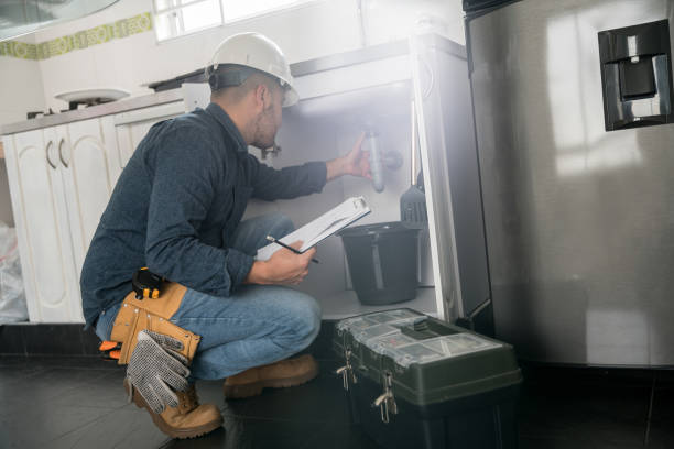 Best Affordable Plumber Near Me  in Buhl, MN