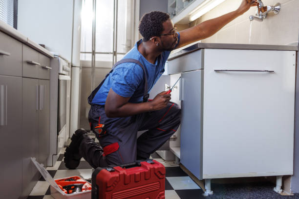 Best Emergency Plumber  in Buhl, MN